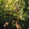 Fiskars PowerGear Teleszkópos ágvágó UPX86- 25 év garanciával  (1023624)