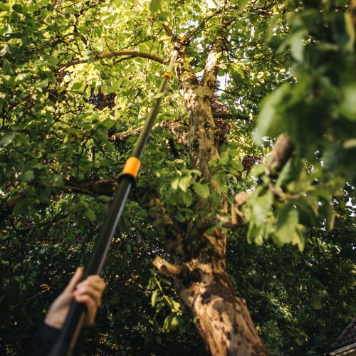 Fiskars PowerGearX™ teleszkópos magassági ágvágó UPX86 - 25 év garanciával