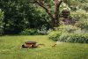 Fiskars Comfort M-es tömlőkocsi 20 m tömlővel Q3 (1023643)