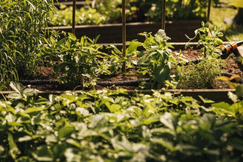 Fiskars Csepegtető tömlő 15m (1025935)