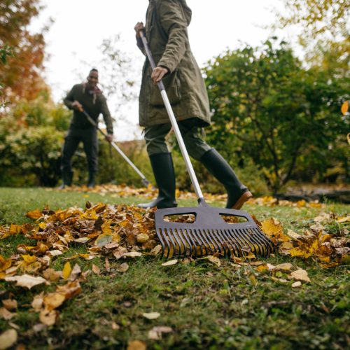 Fiskars X-series™ lombseprű L (1027037) - 25 év garanciával