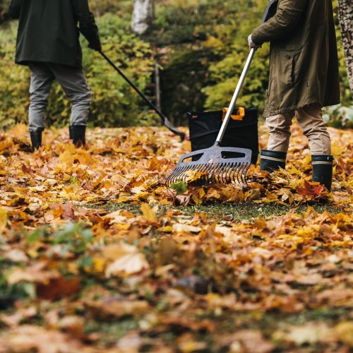 Fiskars X-series™ lombseprű L (1027037) - 25 év garanciával