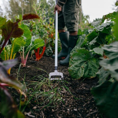 Fiskars X-series™ holland kapa (1027041) - 25 év garanciával