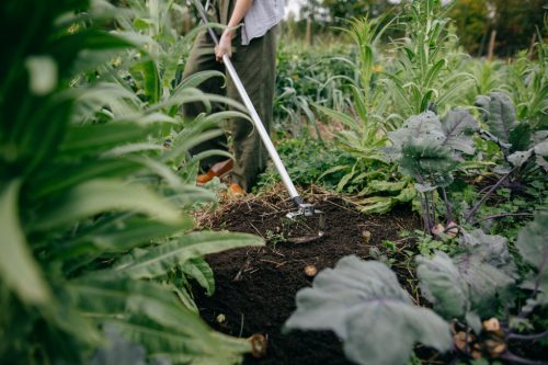 Fiskars Xact™ gyomláló, 150 mm (1027042) - 25 év garanciával