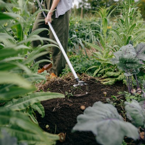 Fiskars Xact™ gyomláló, 150 mm (1027042) - 25 év garanciával