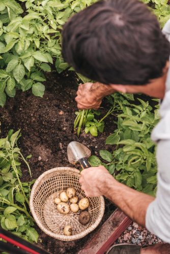 Fiskars Xact™ ültetőkanál (1027043) - 25 év garanciával