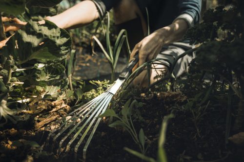 Fiskars Xact™ kézi gereblye (1027044) - 25 év garanciával