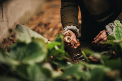 Fiskars Xact™ kézi gereblye (1027044) - 25 év garanciával