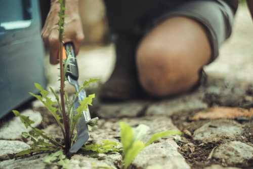 Fiskars Xact™ szegélyezőkés, kis méret (1027045) - 25 év garanciával