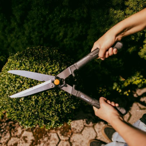 Fiskars Solid™ Sövénynyíró HS10