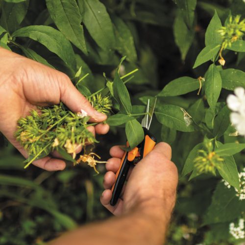 Fiskars Solid™ Micro-tip olló SP130 (1051600)