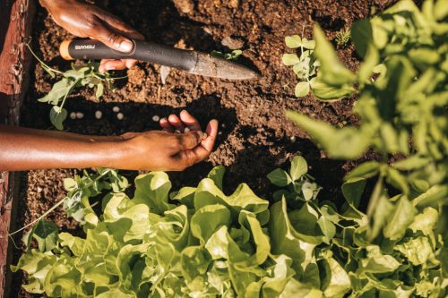 Fiskars Solid™ ültetőbot (1057080)