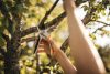 Fiskars Plus™ Metal metszőolló, mellévágó P531 (1057168)