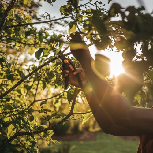 Fiskars Plus™ metszőolló, mellévágó P541 SmartFit (1057169)