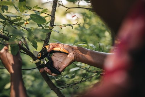 Fiskars Plus™ metszőolló, mellévágó P721 (1057170)