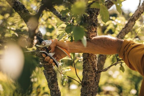 Fiskars Plus™ Metal metszőolló, mellévágó P751 (1057172)