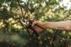 Fiskars X-series™ M forgónyelű metszőolló, mellévágó P921  - 25 év garanciával
