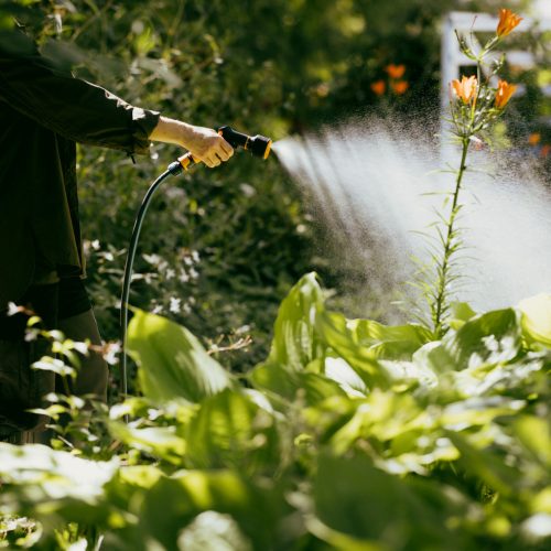 Fiskars Öntözőfej, 3 funkciós (1059237) - KIFUTÓ TERMÉK