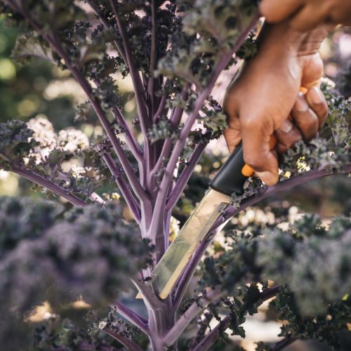 Fiskars X-series™ betakarító kés K82 - 25 év garanciával (1062830)