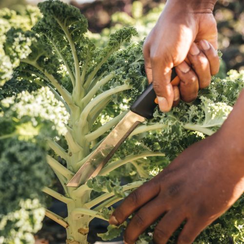 Fiskars X-series™ betakarító kés K82 - 25 év garanciával (1062830)