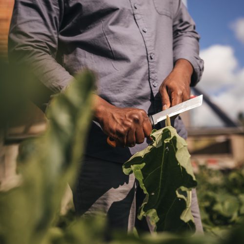 Fiskars X-series™ betakarító kés K82 - 25 év garanciával (1062830)