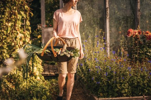 Fiskars Plus™ kerti szüretelő kosár (1062831)