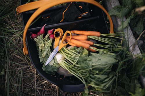 Fiskars Plus™ kerti szüretelő kosár (1062831)