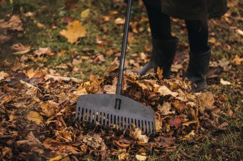 Fiskars Solid™ lombseprű fej (M) (1063089)