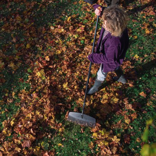 Fiskars Solid™ lombseprű (M) (1063090)