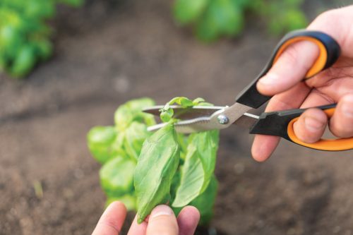 Fiskars Solid™ Zöldségvágó olló SP240 (1063327)