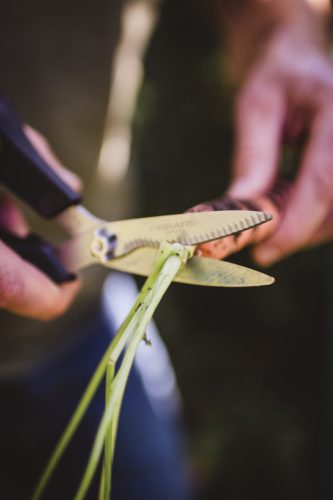 Fiskars Solid™ Zöldségvágó olló SP240 (1063327)