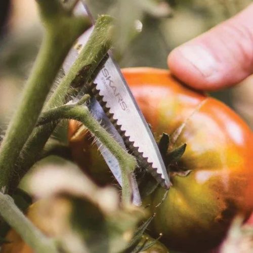 Fiskars Solid™ Zöldségvágó olló SP240 (1063327)