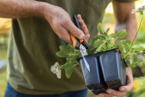 Fiskars Solid™ többfunkciós olló SP320 (1063328)