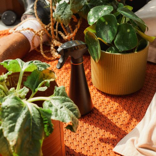 Fiskars Plant Care Szobai Vízpermetező, 0,3 L