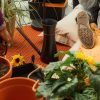 Fiskars Szobai Locsolókanna, 1,2 L