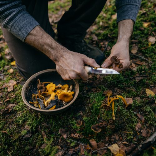 Fiskars Norden kültéri kés P100 - 25 év garanciával