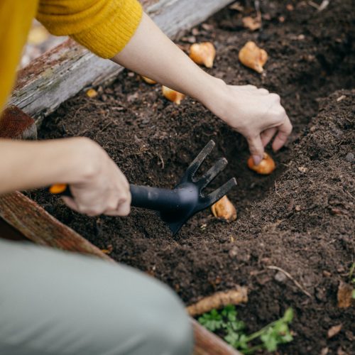 Fiskars Solid™ ültetőkapa