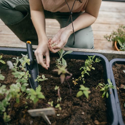 Fiskars Solid™ keskeny ültetőkanál