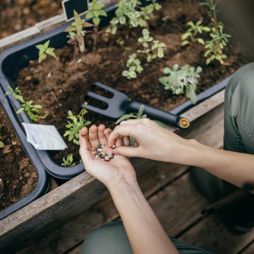 Fiskars Solid™ talajlazító