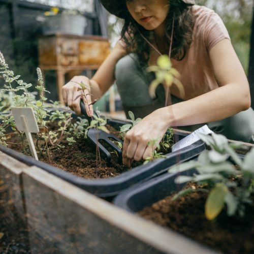 Fiskars Solid™ talajlazító