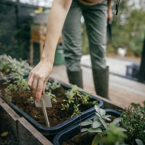 Fiskars Solid™ Gyomláló villa