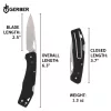 Gerber LST zsebkés (bliszter) - 25 év garanciával