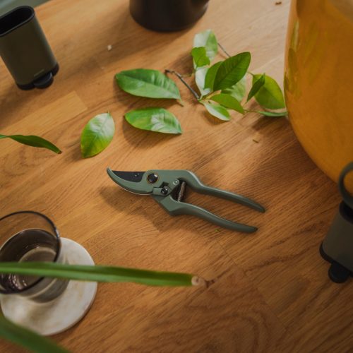 Fiskars Plant Care Metszőolló tartóval, olivazöld színű