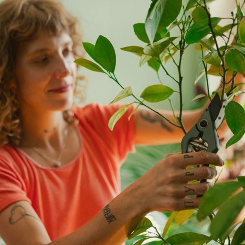 Fiskars Plant Care Metszőolló tartóval, olivazöld színű