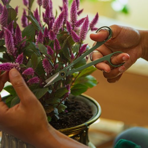 Fiskars Plant Care Növényápoló csípőolló tartóval, olivazöld színű