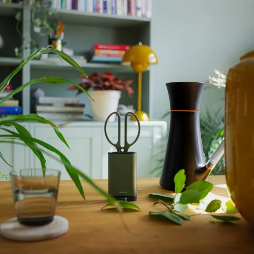 Fiskars Plant Care Növényápoló olló, tartóval, olivazöld színű