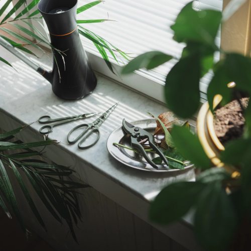 Fiskars Plant Care Növényápoló olló, tartóval, olivazöld színű