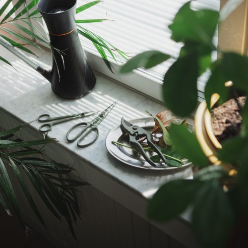 Fiskars Plant Care Metszőkészlet 3 db-os, olivazöld színű