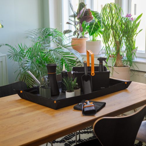 Fiskars Plant Care Metszőkészlet 3 db-os, olivazöld színű