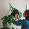 Fiskars Plant Care Növényápoló törlőruha
